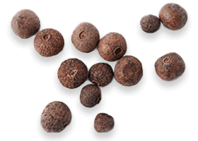 BioPerine black pepper extract — bioavailability booster in Joint Genesis formula
