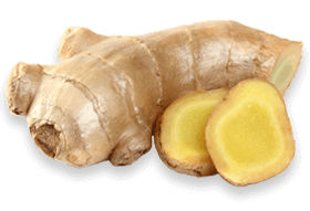 Ginger root extract — natural anti-inflammatory ingredient in Joint Genesis